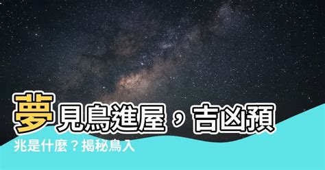 夢見鳥飛進房間|夢見鳥飛進家裡